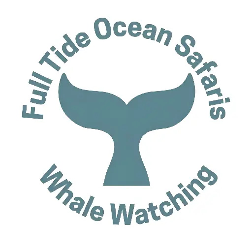 Full Tide Ocean Safaris
