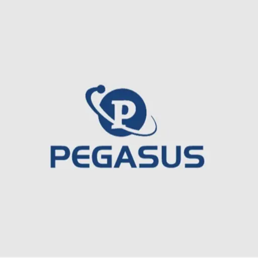 Pegasus