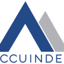 accuindex.com
