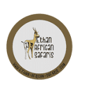 africa-p-adventures.com