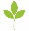 ahealthyleaf.com