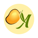 alphonsomango.in