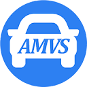 amvsonline.com