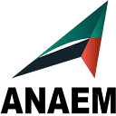 anaem-dubai.com