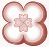 animonlifeofficial.com