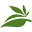 apotheca.org