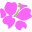 avasflowers.net