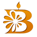 baizhi-cn.com