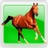 bayequest.com