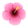 beautyhouse.co