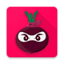 beetvpn.com