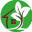 bgnie.com