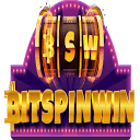 bitspinwin.co