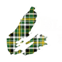 blackwoodtours.com