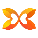 bloom-rush.com