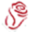 bloomex.co.nz