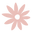bloomplanners.com