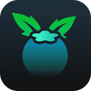blueberrycaptltd.com