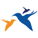 bluebird.com