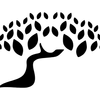 bocobay.com