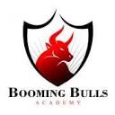 boomingbulls.com