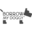 borrowmydoggy.com