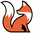 brandfoxllc.com