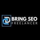 bringseo.com
