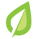 broadleafseo.com