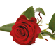 buckleymemorials.com