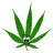 buddies-headshop.dk