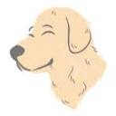 buddybuysland.com