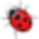 bug.co.il