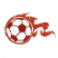 calciogo.com