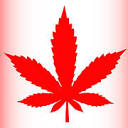canadaclonesonline.ca