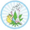 canapalightblue.com
