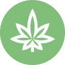cannaseedsbank.com