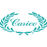 carico.com