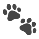 cat-bounce.com