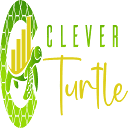 cleverturtle.in