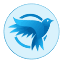 creativebird.io