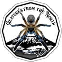 creaturesfromthenorth.eu