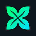 crossmint.com
