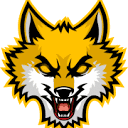 csgohowl.com