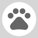 curiouscatapp.com