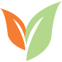 customearthpromos.com