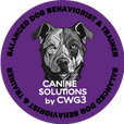 cwg3.com