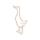 dcuk.com