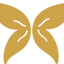 definitechocolate.co.uk