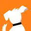 dogtv.com